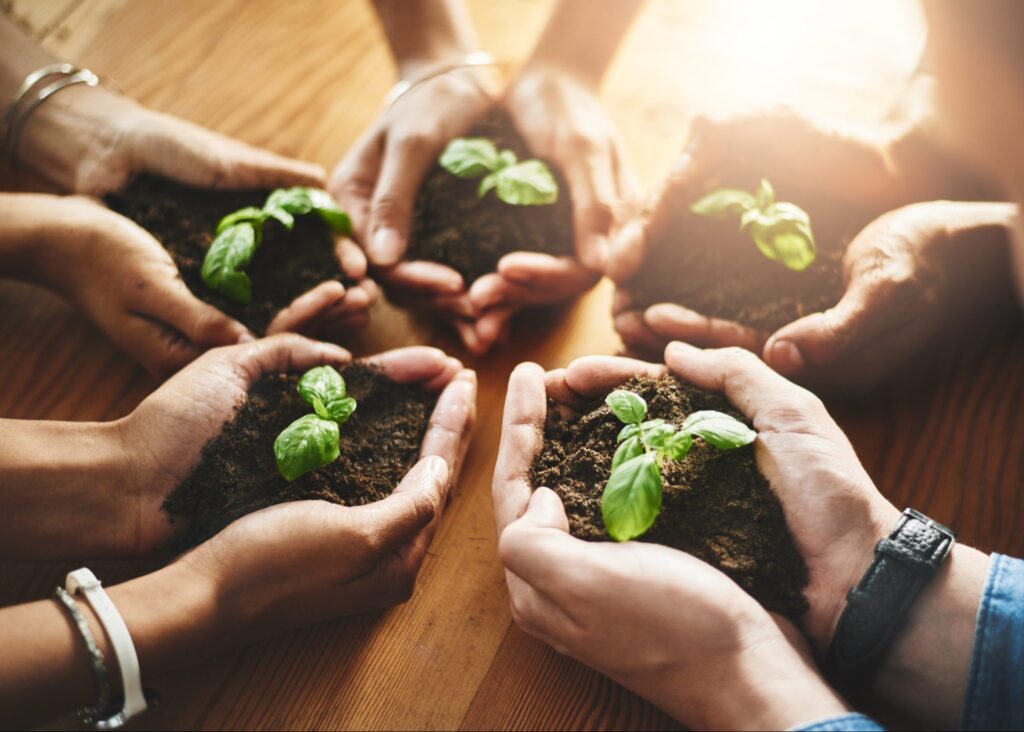 Several pairs of hands cupping soil with young seedlings